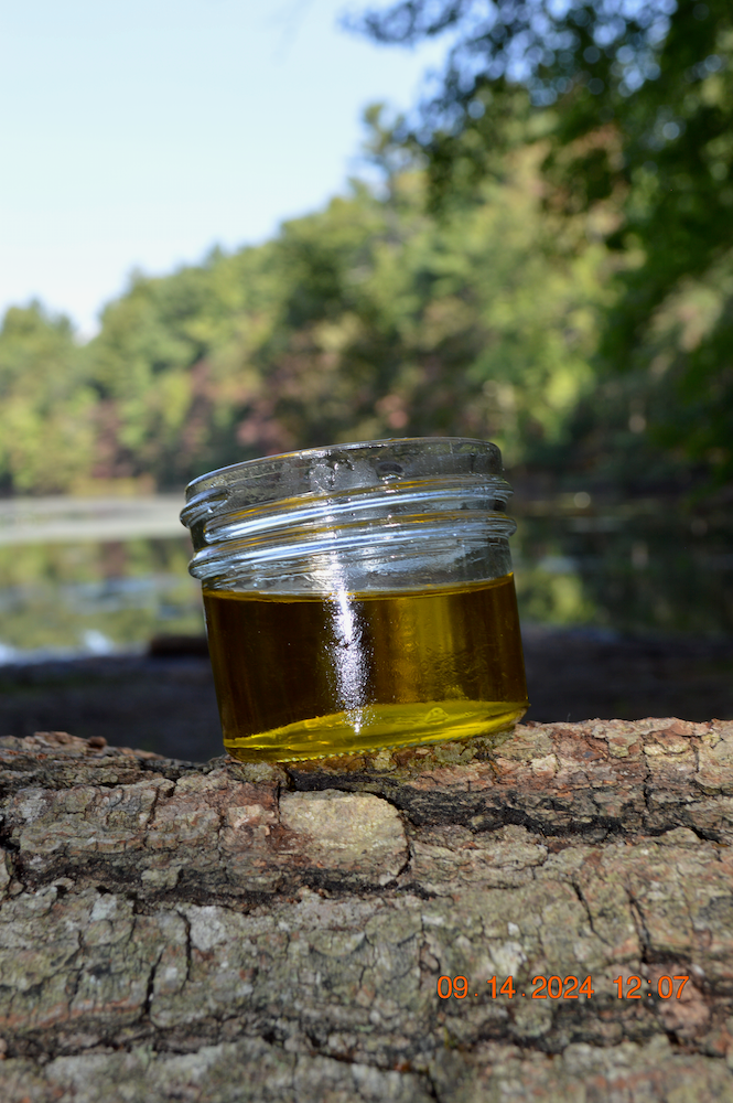 Scalp Health 101: Why Regular Oiling is a Must